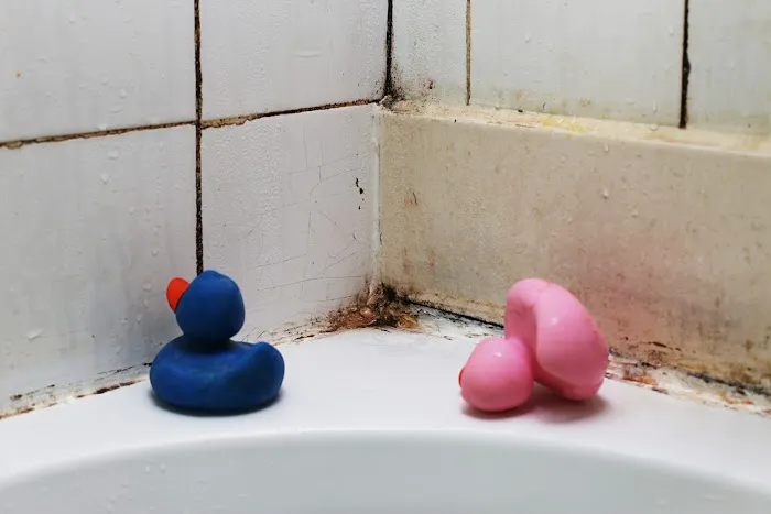 Forefront Building + Restoration Picture 3