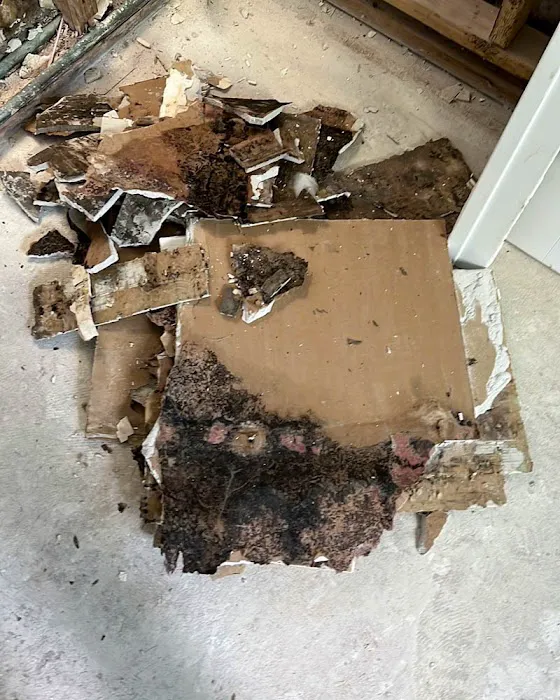 SERVPRO of North Thornton / Brighton Picture 4