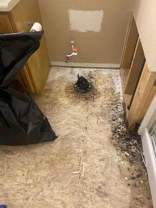 1-800 WATER DAMAGE of Northern Colorado Picture 10