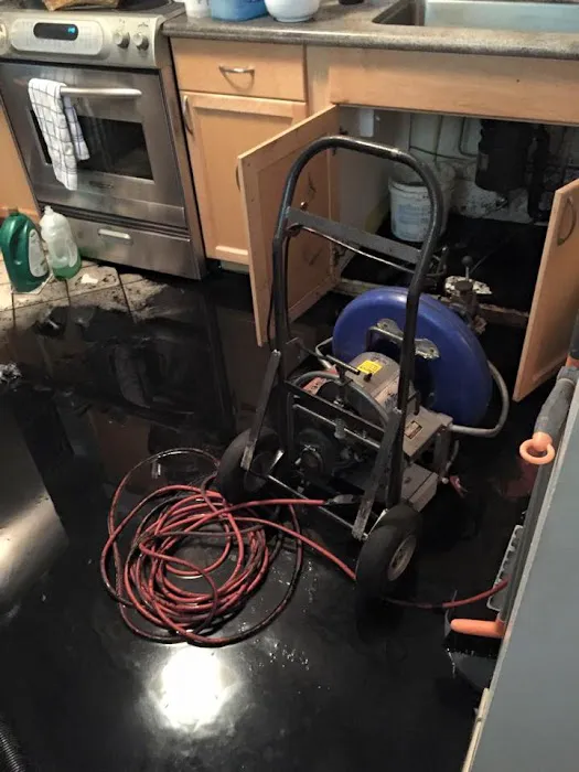 Restoration 1 of Northern Colorado Picture 7