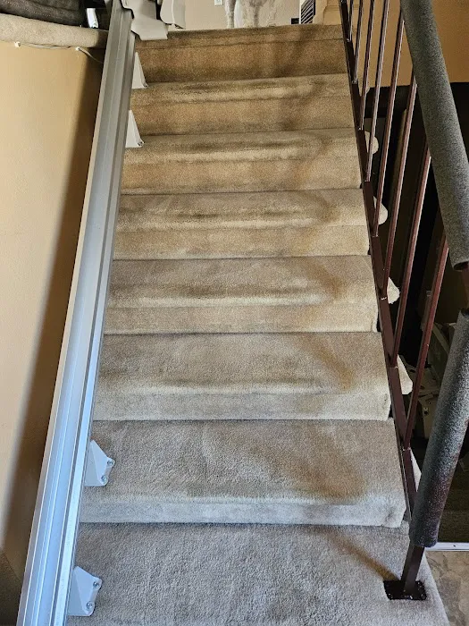 Stanley Steemer Picture 7