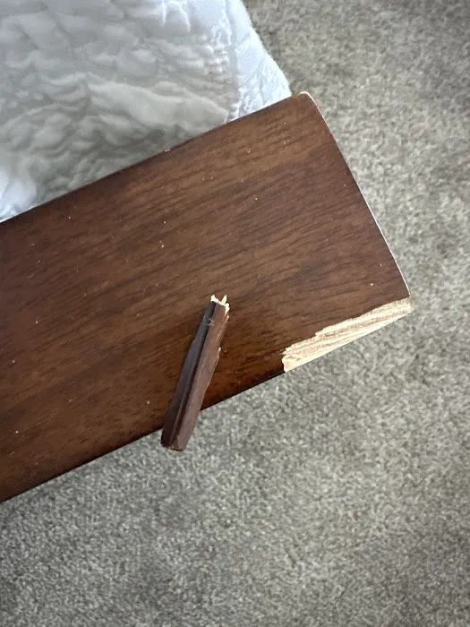 Stanley Steemer Picture 5