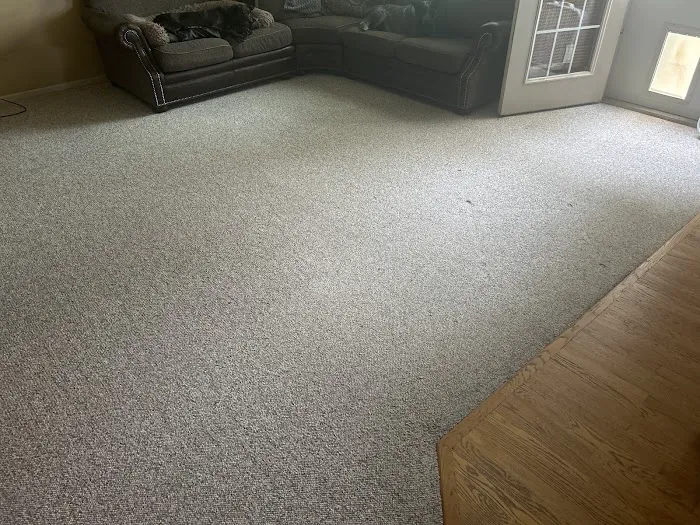 Stanley Steemer Picture 1