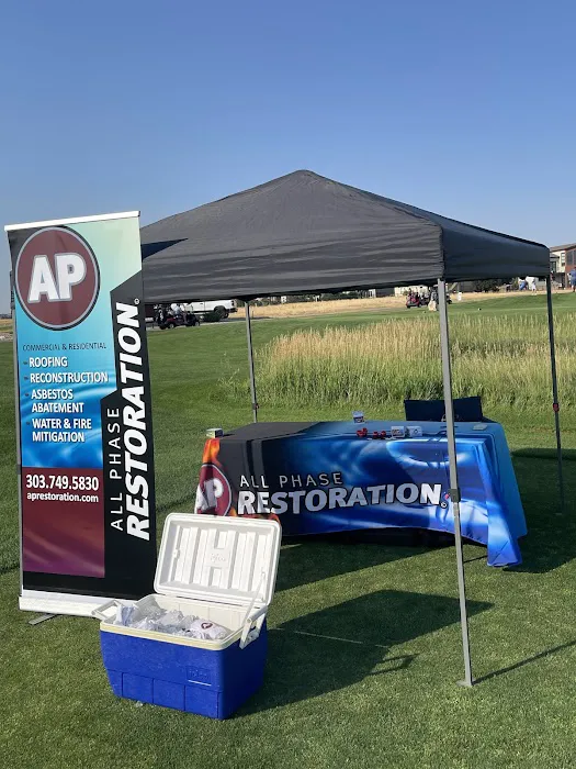 All Phase Restoration Picture 6