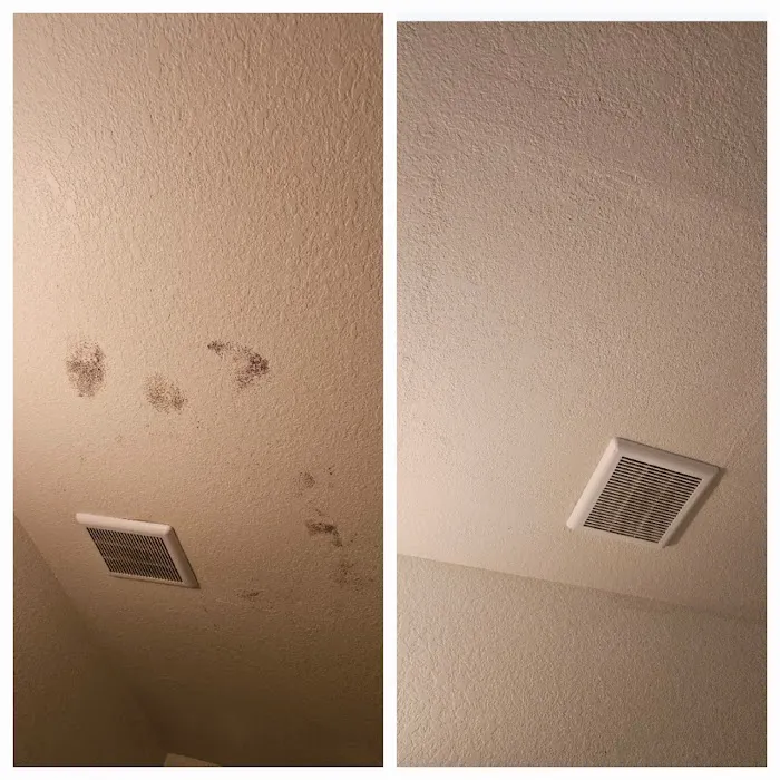 Best Option Restoration of Fort Collins Picture 9