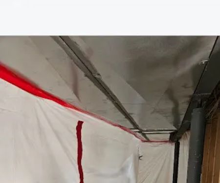 Best Option Restoration of Fort Collins