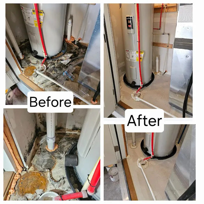 Best Option Restoration of Fort Collins Picture 4