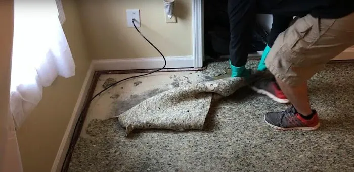 Reliable Water Restoration of Fort Collins Picture 3