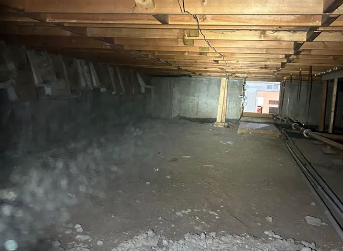 Mold Removal Express Fort Collins Picture 8