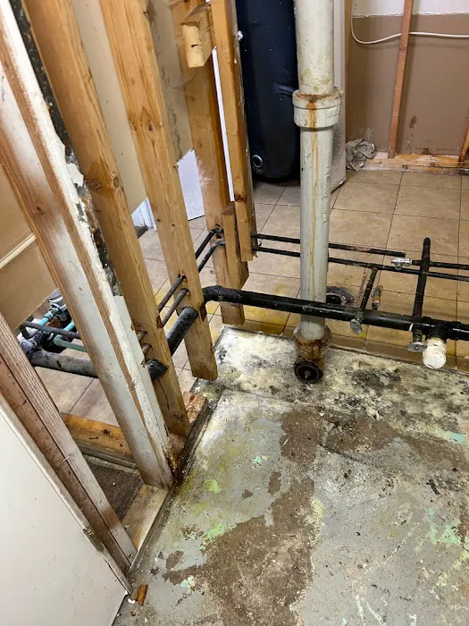 Mold Removal Express Fort Collins Picture 2