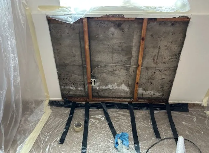 Mold Removal Express Fort Collins Picture 3