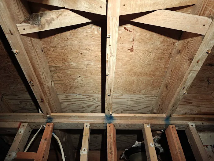 Mold Removal Express Fort Collins Picture 5