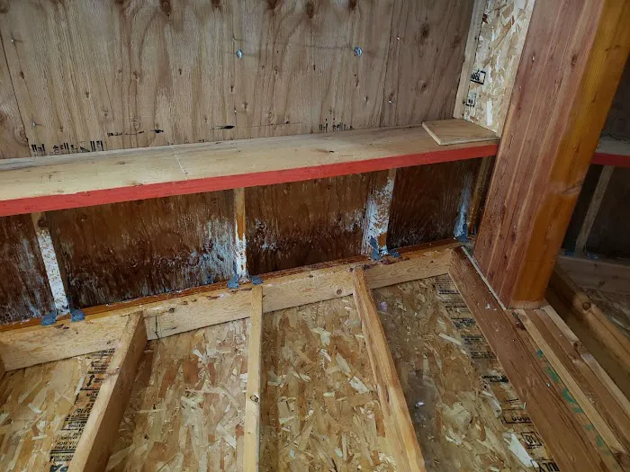 Mold Removal Express Fort Collins Picture 7