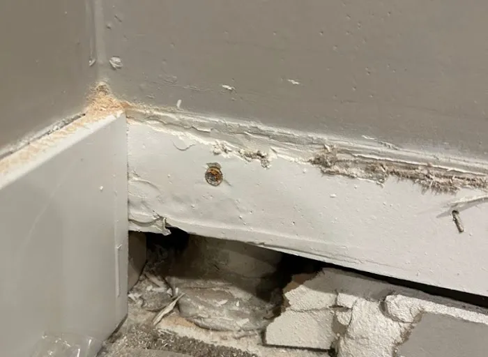 Mold Removal Express Fort Collins Picture 10