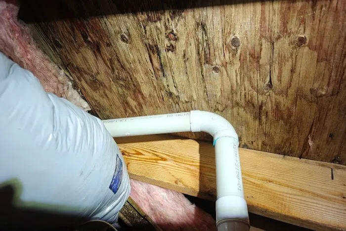 Mold Removal Express Fort Collins Picture 1