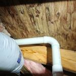 Mold Removal Express Fort Collins