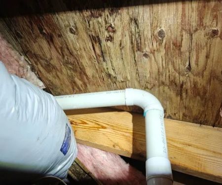 Mold Removal Express Fort Collins