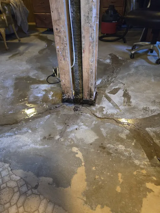 Balor Restoration Picture 2