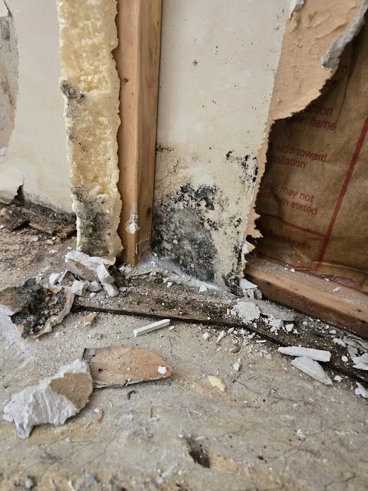 Balor Restoration Picture 5