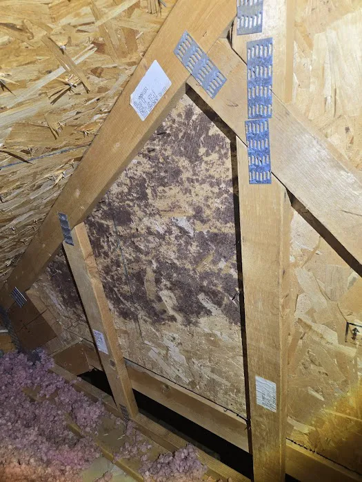 Balor Restoration Picture 4