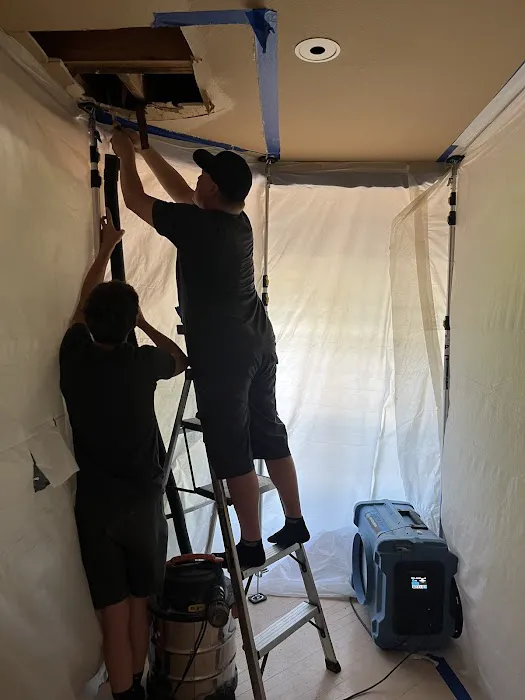 Balor Restoration Picture 9