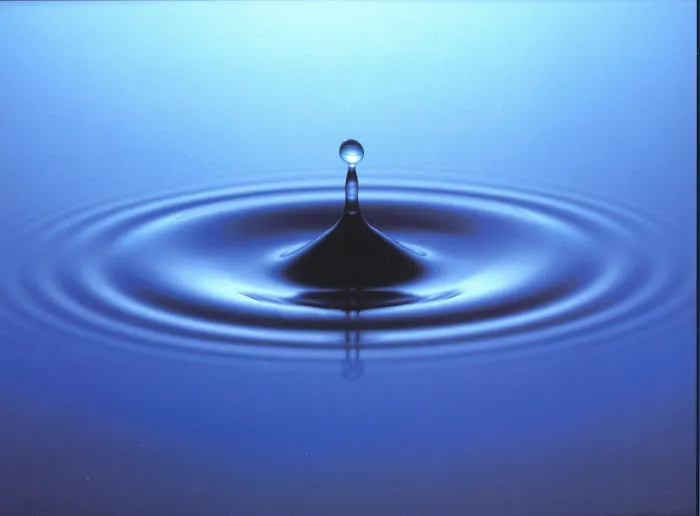 Restoration Logistics Picture 1