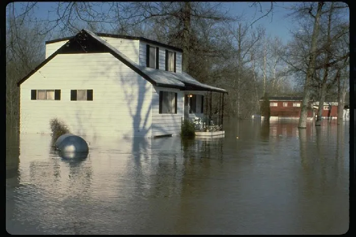 Restoration Logistics Picture 3