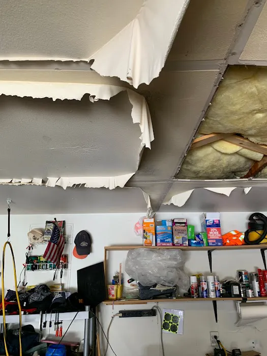 Rex Environmental Picture 5