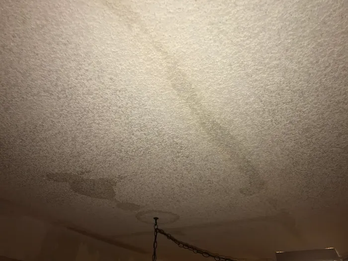 Rex Environmental Picture 3