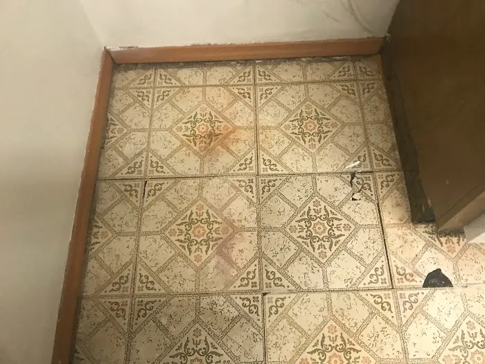 Rex Environmental Picture 4