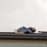 Jenkins Restorations ico