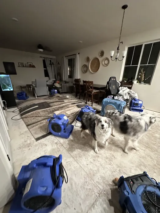 Jenkins Restorations Picture 5