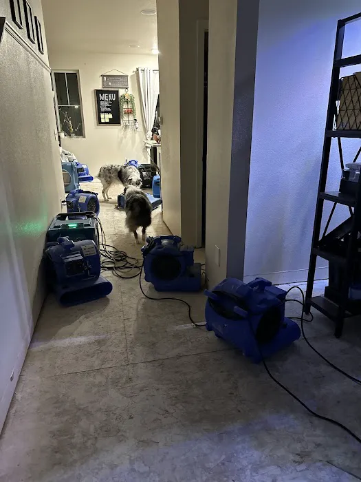 Jenkins Restorations Picture 8