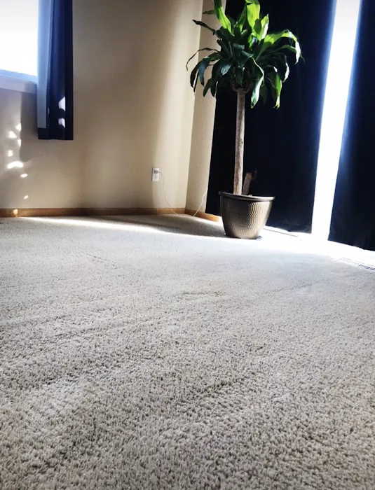 Advanced 24/7 Restoration LLC | Water Damage Denver Picture 3