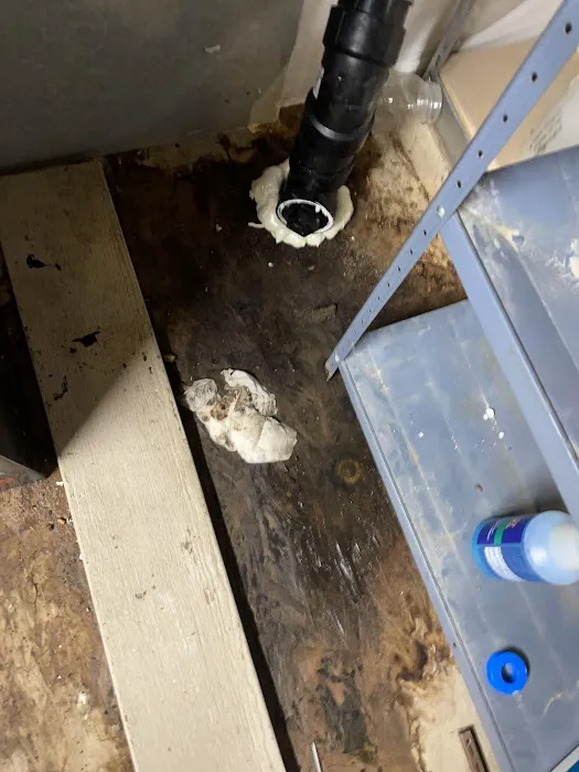 Regal Restoration Picture 8