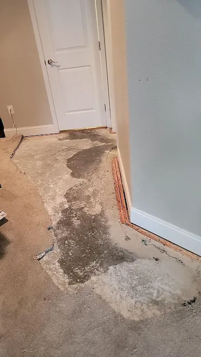 Regal Restoration Picture 2