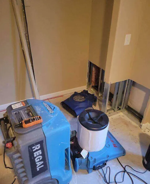 Regal Restoration Picture 7