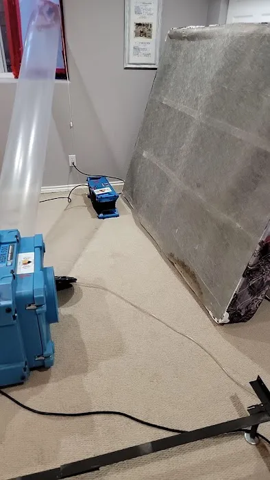 Regal Restoration Picture 1