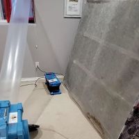 Regal Restoration ico