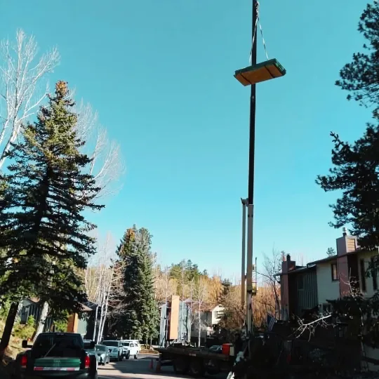 Critical Restoration of Denver Picture 7