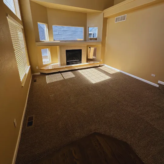 Critical Restoration of Denver Picture 5