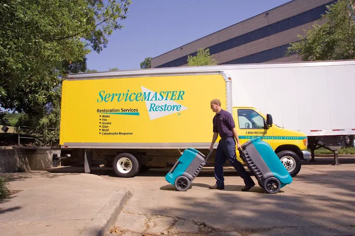 ServiceMaster DSI - Denver Picture 8