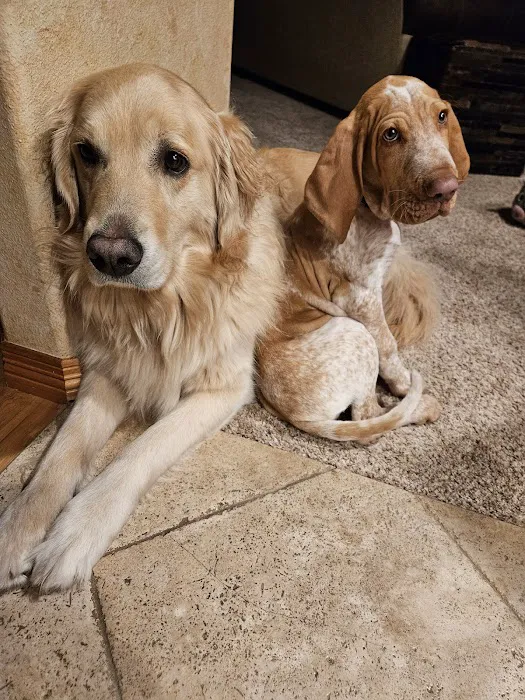 Restoration Services Inc Picture 5