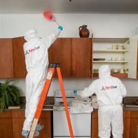 PuroClean Certified Restoration Specialists ico