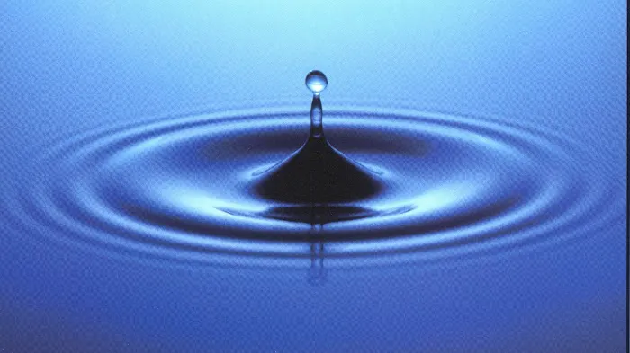 Restoration Logistics Picture 4