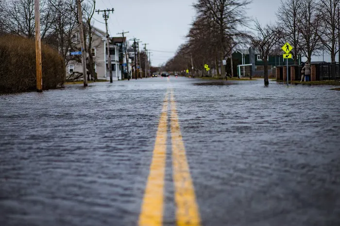 Restoration Logistics Picture 5