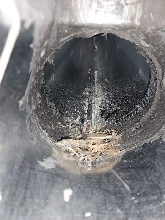 Stanley Steemer Picture 3