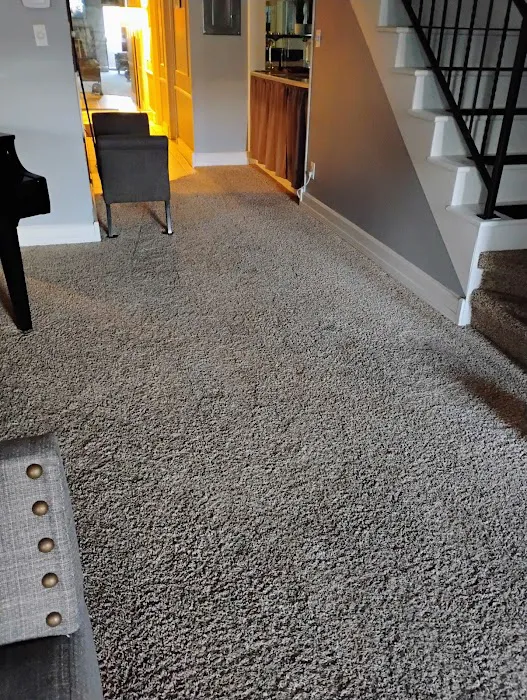 Stanley Steemer Picture 10