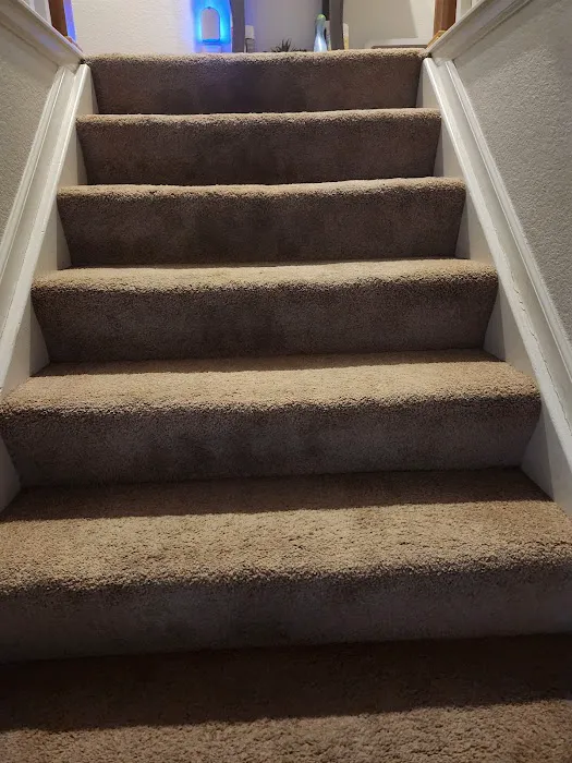 Stanley Steemer Picture 6