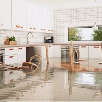 Fix It Water Damage and Mold Repair ico